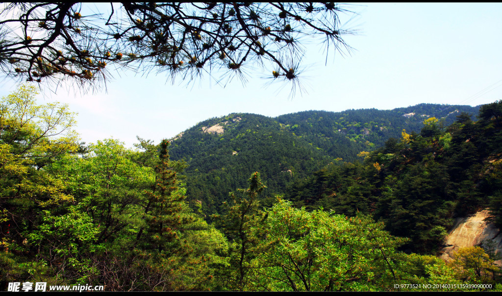 距山
