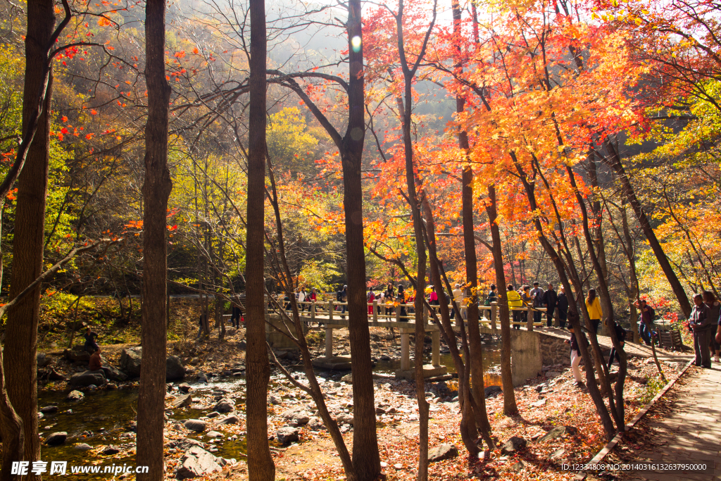 窗含关山秋景色