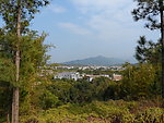乡村风景
