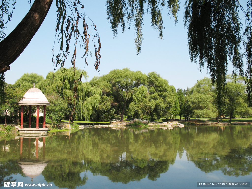 公园风景