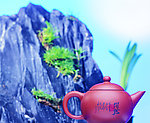 茶道