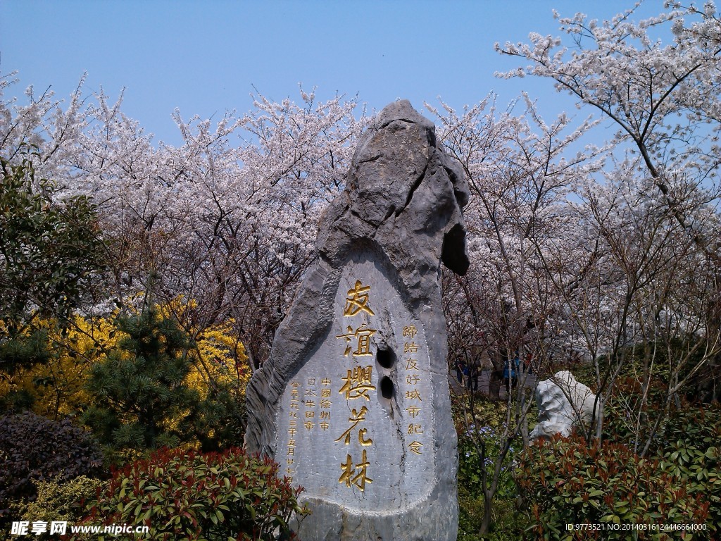 友谊樱花林