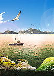 大海与海鸥