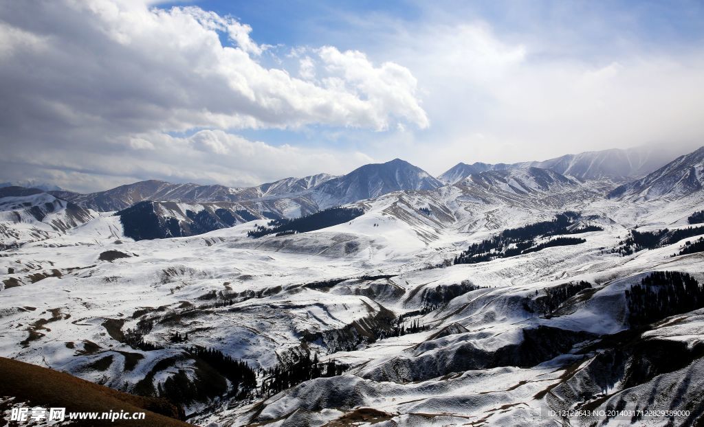 大美天山