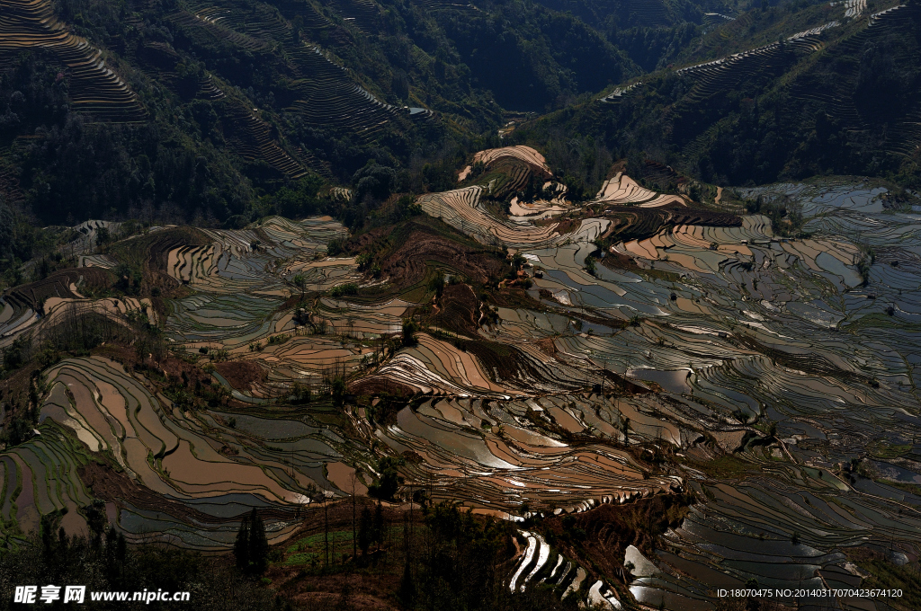 元阳风景