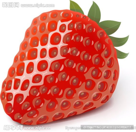 逼真矢量草莓