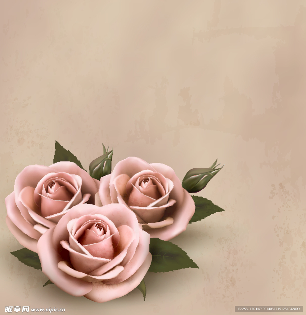 玫瑰花