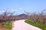 道路