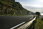 道路