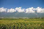 大地风景