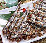 多春鱼