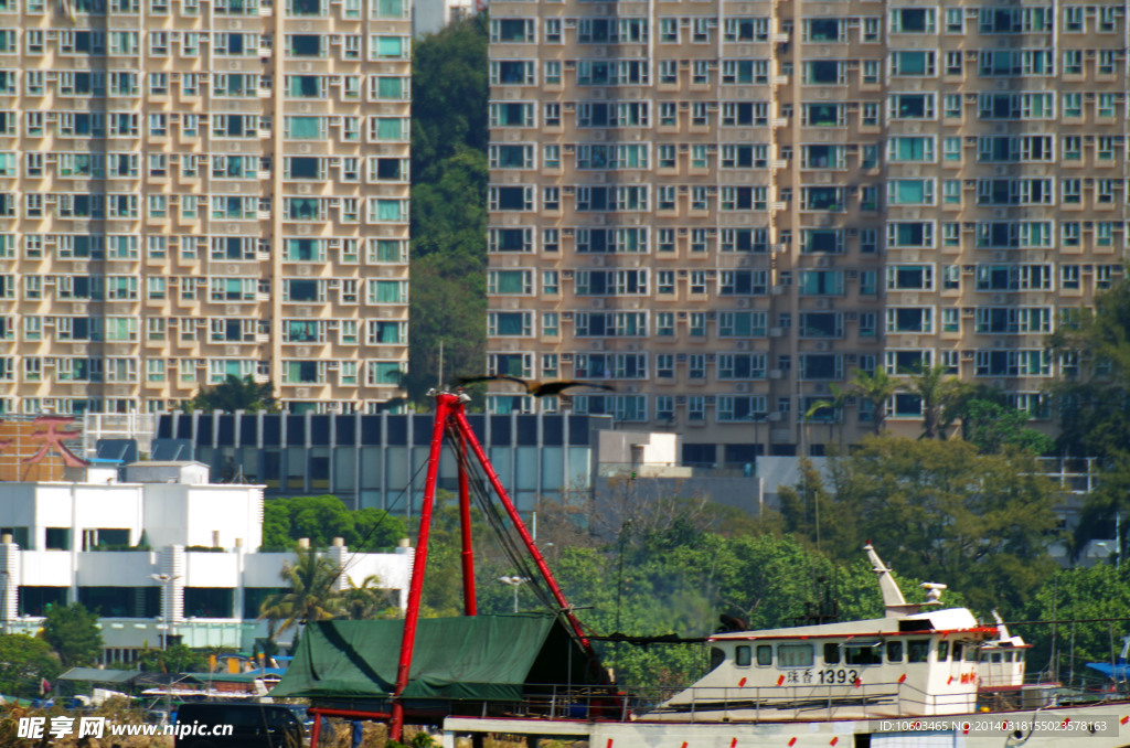 海岸建设