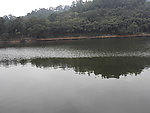 银湖春色