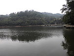 银湖春色
