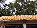 银湖