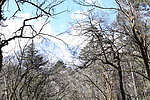 玉龙雪山