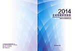 2014财务报表封面