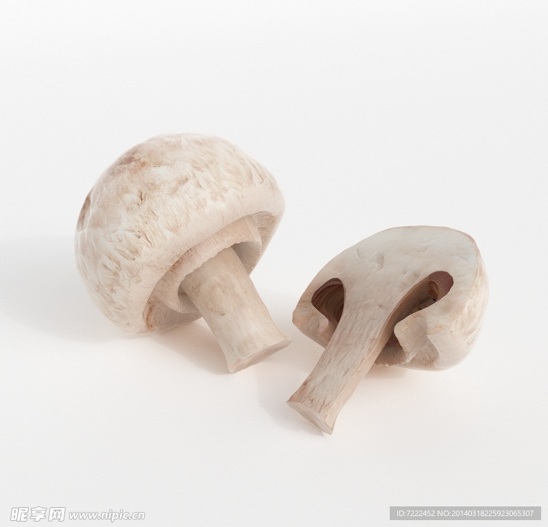 白蘑菇三维模型
