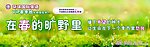 环球网页广告