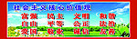 社会主义核心价值观