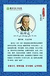 校园文化展板