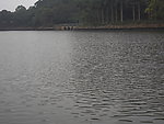 银湖