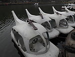 银湖