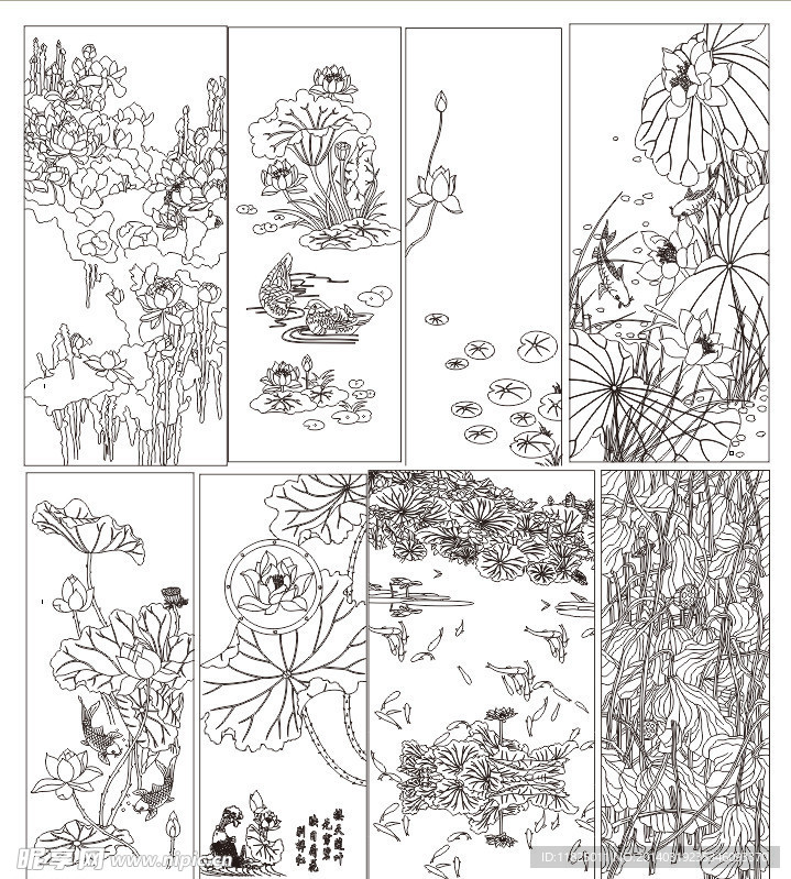 荷花