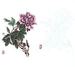 牡丹