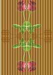 玫瑰底纹
