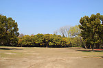 广阔天地