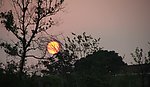 长沙洋湖公园夕阳晚照