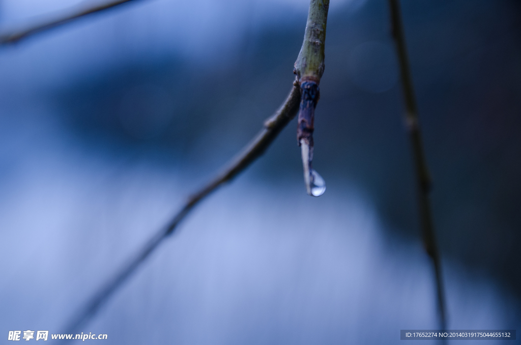 水珠