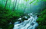 山水