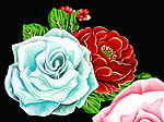 手绘牡丹花