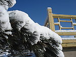 长白县雪景