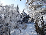 长白县雪景