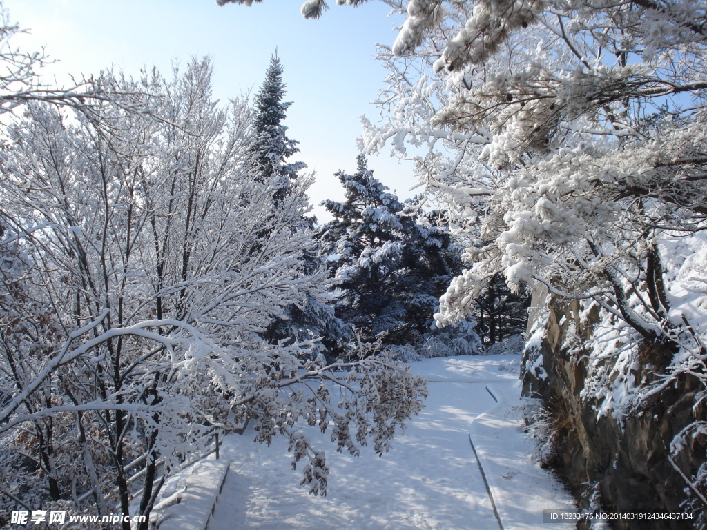 长白县雪景