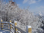 长白县雪景