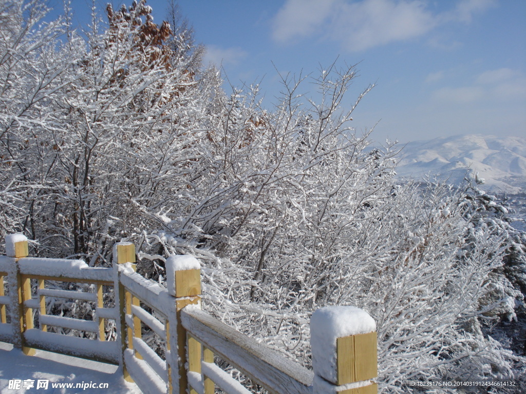 长白县雪景