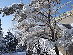 长白县雪景
