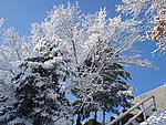 长白县雪景