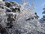 长白县雪景