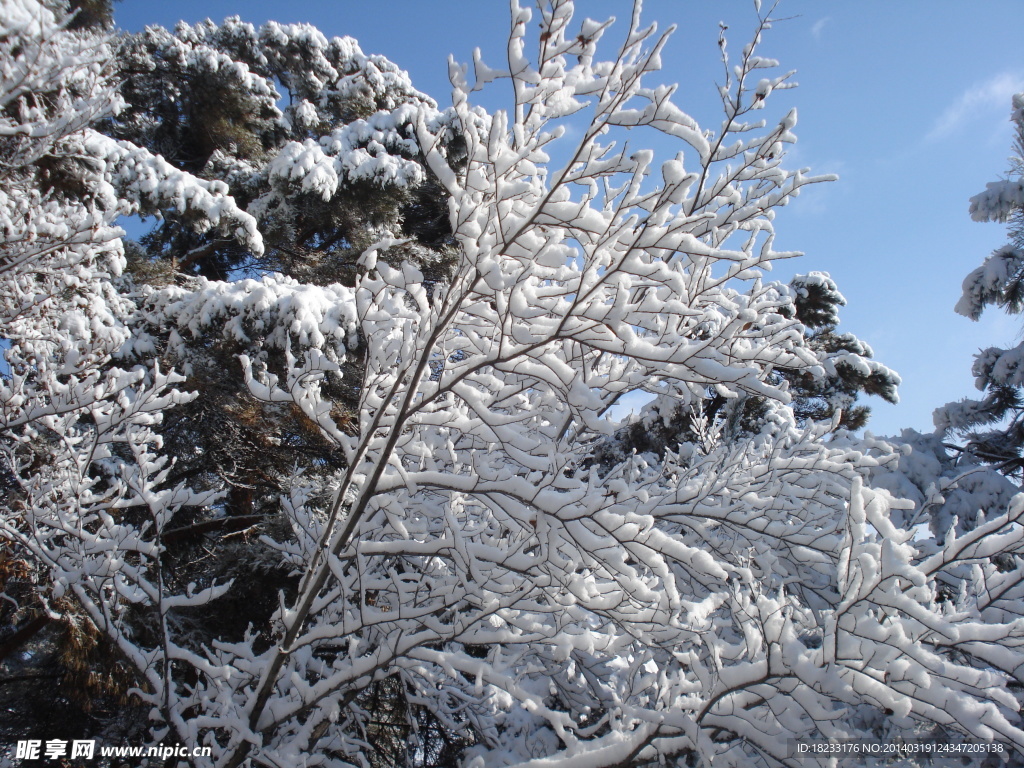 长白县雪景