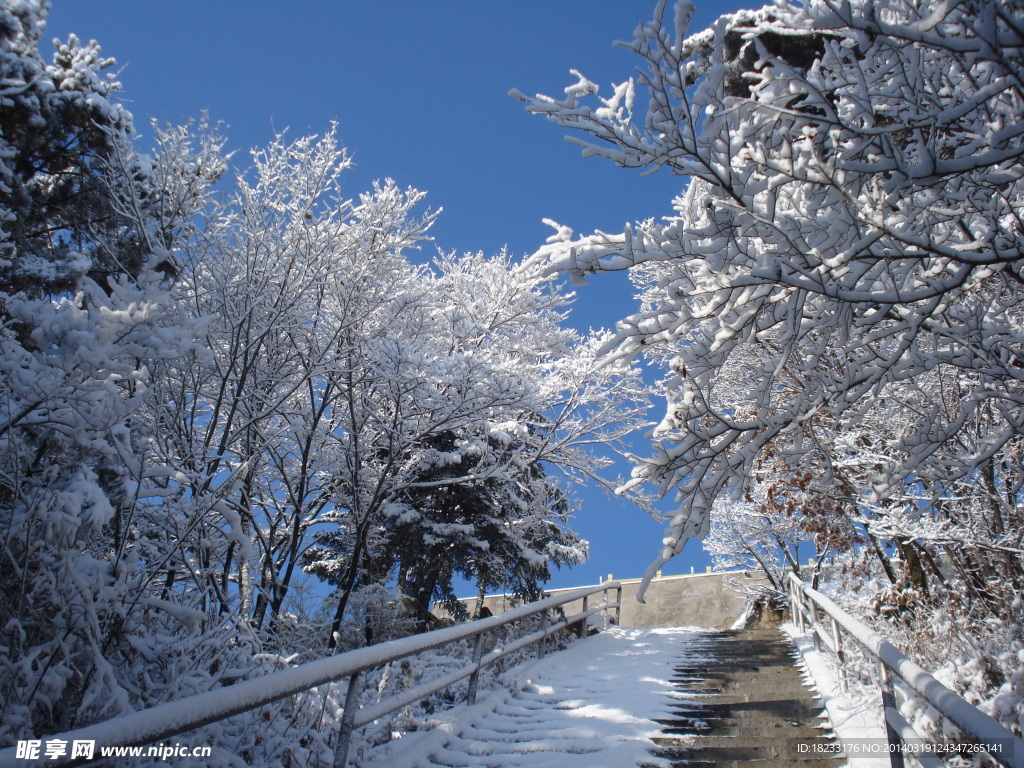 长白县雪景