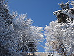 长白县雪景