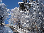 长白县雪景
