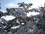 长白县雪景