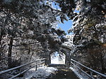 长白县雪景