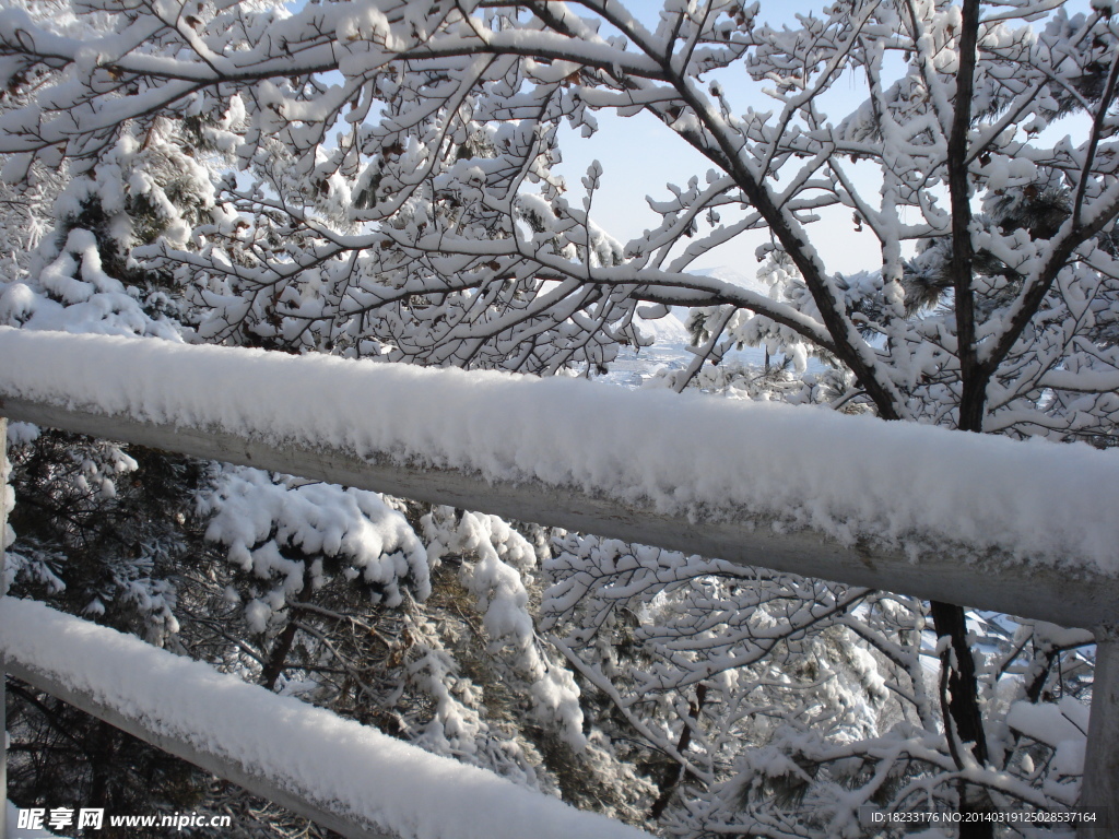 长白县雪景